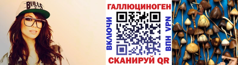 купить наркотики цена Калининск Галлюциногенные грибы Cubensis